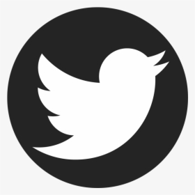 Circle Twitter Logo Png, Transparent Png, Transparent PNG