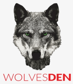 Czechoslovakian Wolfdog, HD Png Download, Transparent PNG