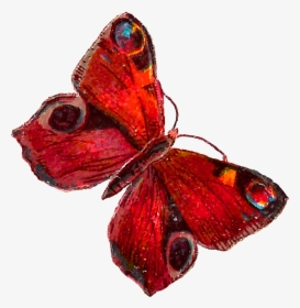 Red Butterfly Png Pic - Red Butterfly Illustration Png, Transparent Png, Transparent PNG
