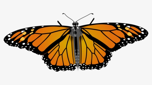 File - Monarch Butterfly - Svg - Monarch Butterfly Copyright Free, HD Png Download, Transparent PNG