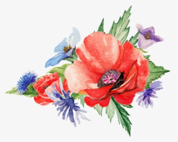 Watercolor Flowers Poppy Art Painting - Transparent Poppy Flower Watercolor, HD Png Download, Transparent PNG