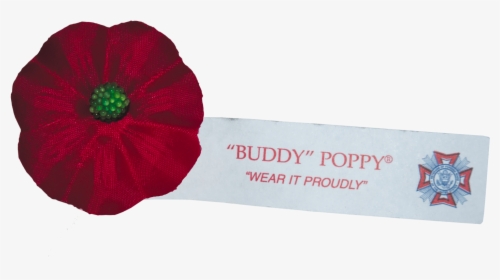 Poppy, HD Png Download, Transparent PNG