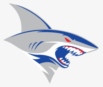 Shark Logo png download - 1024*576 - Free Transparent United States png  Download. - CleanPNG / KissPNG