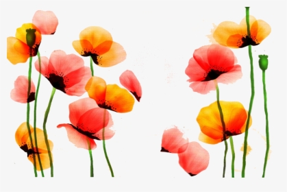 Poppy Watercolor Painting Flower Red Yellow - Yellow Poppies Flowers Watercolor, HD Png Download, Transparent PNG