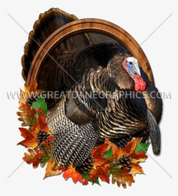 Transparent Thanksgiving Png Images, Png Download, Transparent PNG
