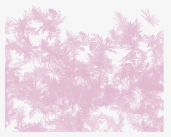 #ftestickers #winter #border #ice #frost #pink - Motif, HD Png Download, Transparent PNG