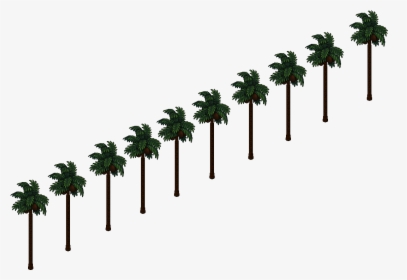 Hollywood - Palm Tree, HD Png Download, Transparent PNG