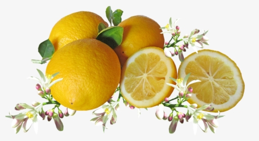 Limones, Cítricos, Frutas, Flor, Cocinar - Limoni Png, Transparent Png, Transparent PNG