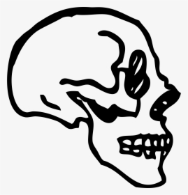Skull Profile Clip Arts - Skull Profile Art Png, Transparent Png, Transparent PNG