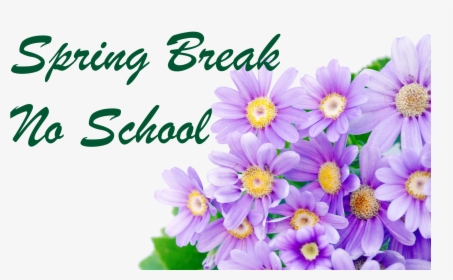 Spring Break - No School, HD Png Download, Transparent PNG