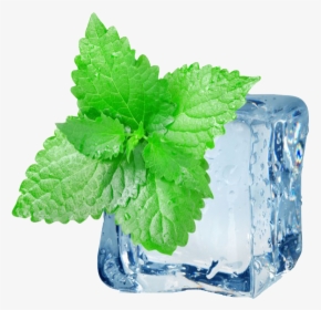 Peppermint Png Hd Images - Ice Mint, Transparent Png, Transparent PNG
