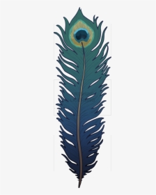 Peacock Feather - Pond Pine, HD Png Download, Transparent PNG