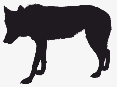 Gray Wolf Silhouette Black Wolf Drawing - Black Wolf Silhouette Png, Transparent Png, Transparent PNG