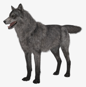 Wolf Clipart Transparent Background Png - Call Of Duty Ghosts Wolves, Png Download, Transparent PNG
