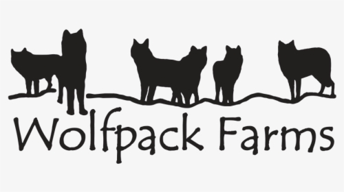 Picture - Silhouette Of Wolf Pack, HD Png Download, Transparent PNG