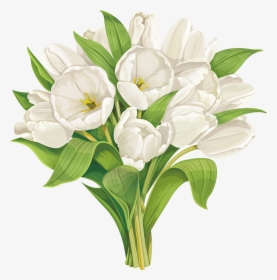 White Tulip Flower Vector, HD Png Download, Transparent PNG