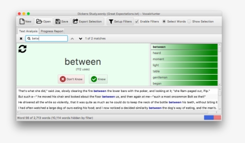 Vocabhunter Search Bar In Action - Javafx Search Box, HD Png Download, Transparent PNG