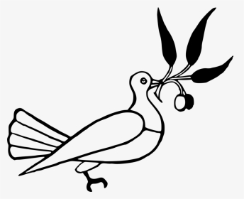 Dove With Olive Branch, HD Png Download, Transparent PNG