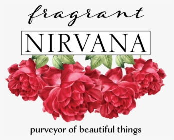 Final Fragrant Nirvana Logo May2019 - Hybrid Tea Rose, HD Png Download, Transparent PNG