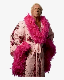 #ricflair #wooooo #thenatureboy #wwe #wwestickers #wwefans - Ric Flair Funny Costume, HD Png Download, Transparent PNG