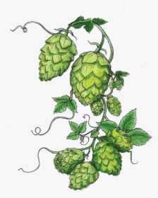 The Great Revival Abv - Hops Clipart, HD Png Download, Transparent PNG
