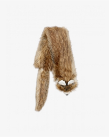 Paw, HD Png Download, Transparent PNG