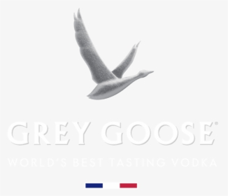 Logo De Grey Goose, HD Png Download, Transparent PNG