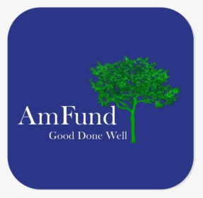 Amfund Logo Build Blue Background 2017, HD Png Download, Transparent PNG