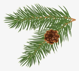 Holiday Clipart Pinecone - Christmas Vector Png Free, Transparent Png, Transparent PNG