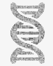 Dna Strand Word Cloud Typography Grayscale, HD Png Download, Transparent PNG