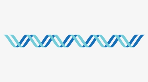 Dna Dna Icon Icon Free Picture - Parallel, HD Png Download, Transparent PNG