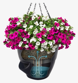 Self Watering Hanging Baskets Purple, HD Png Download, Transparent PNG
