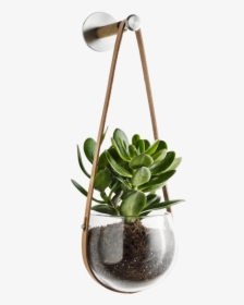 Design With Light Hanging Pot And Peg By Holmegaard - Interior Plant Png, Transparent Png, Transparent PNG