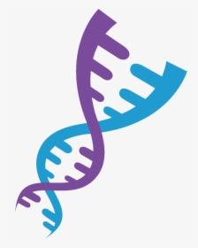 Dna Png, Transparent Png, Transparent PNG