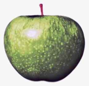 Beatles Apple Logo Png, Transparent Png, Transparent PNG