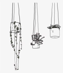 Hanging Plants - Line Drawing - Hanging Plants Line Art, HD Png Download, Transparent PNG
