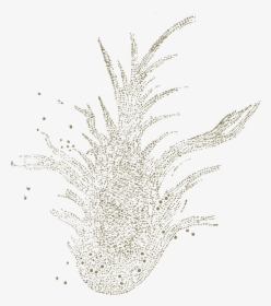 Carroll Phantasmagoria Crab Nebula - Sketch, HD Png Download, Transparent PNG