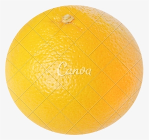 Dodgeball - Valencia Orange, HD Png Download, Transparent PNG