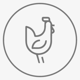 Poultry Semen Processing - Drawing, HD Png Download, Transparent PNG