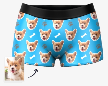 Dog Face Boxers Underwear, HD Png Download, Transparent PNG