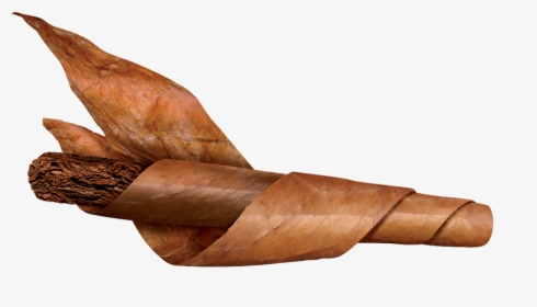Tobacco Leaf Cigar Png, Transparent Png, Transparent PNG