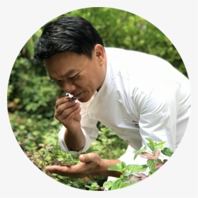 Chef Ian Kittichai At Tangerine S Herb Garden - Grass, HD Png Download, Transparent PNG
