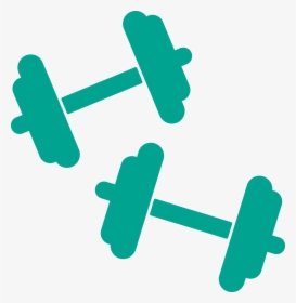 Fitness Classes & Training - Weights Clipart, HD Png Download, Transparent PNG