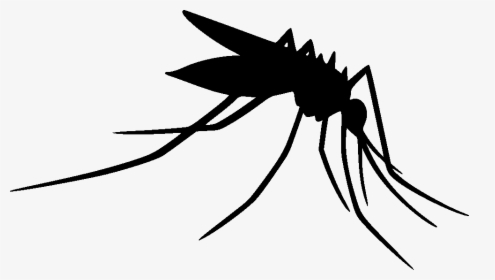 Mosquito Clip Art Insect Silhouette Line Art - Silhouette Mosquito Clip Art, HD Png Download, Transparent PNG