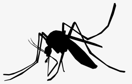 Illustration Mosquito Schnake Sting Insect - Mosquito Illustration Png, Transparent Png, Transparent PNG