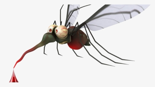 Transparent Mosquito Png - Mosquito Png, Png Download, Transparent PNG