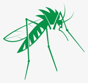 Mosquito Png Free Download - Mosquito, Transparent Png, Transparent PNG