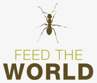 Insects To Feed The Worldhttp - Ant, HD Png Download, Transparent PNG