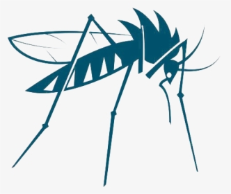 Mosquito Insect Vector Bed Bug - Mosquito Vector Png, Transparent Png, Transparent PNG