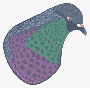 Paloma - Pigeons And Doves, HD Png Download, Transparent PNG